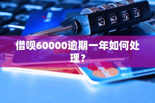 借呗60000逾期一年如何处理？