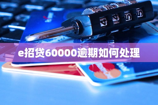 e招贷60000逾期如何处理