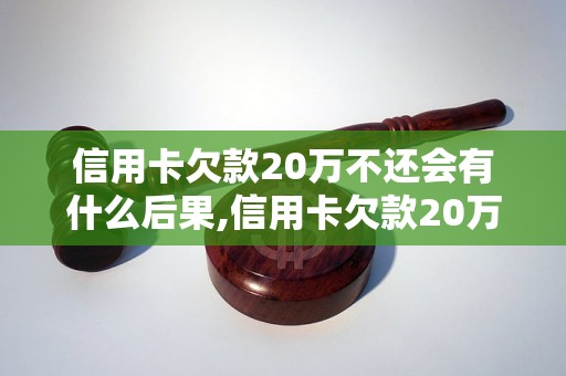 信用卡欠款20万不还会有什么后果,信用卡欠款20万怎么办