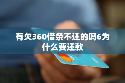 有欠360借条不还的吗6为什么要还款