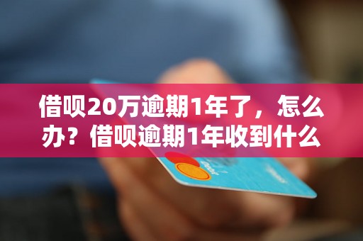 借呗20万逾期1年了，怎么办？借呗逾期1年收到什么处理？