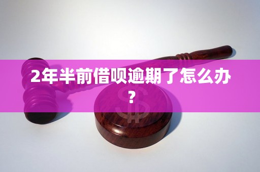 2年半前借呗逾期了怎么办？