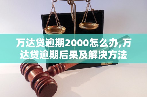 万达贷逾期2000怎么办,万达贷逾期后果及解决方法