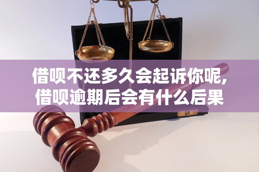 借呗不还多久会起诉你呢,借呗逾期后会有什么后果