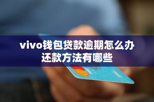 vivo钱包贷款逾期怎么办还款方法有哪些