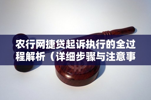 农行网捷贷起诉执行的全过程解析（详细步骤与注意事项）