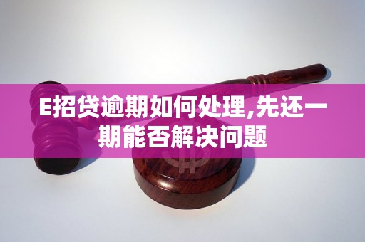 E招贷逾期如何处理,先还一期能否解决问题