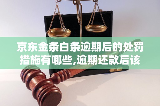 京东金条白条逾期后的处罚措施有哪些,逾期还款后该如何处理