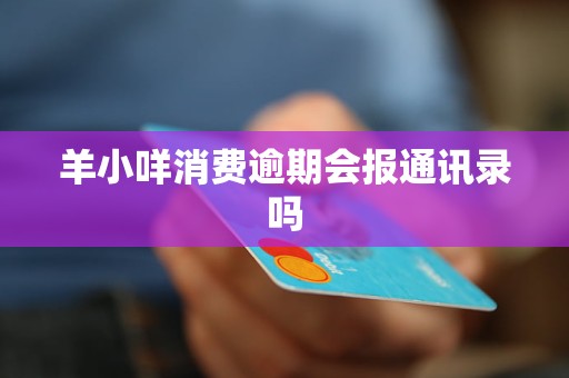 羊小咩消费逾期会报通讯录吗