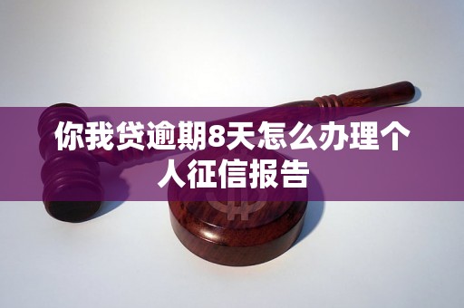 你我贷逾期8天怎么办理个人征信报告