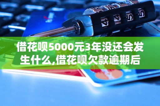 借花呗5000元3年没还会发生什么,借花呗欠款逾期后果