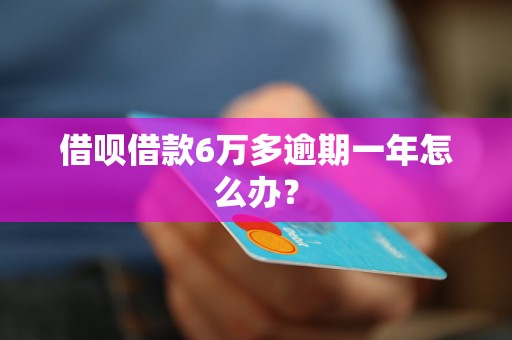 借呗借款6万多逾期一年怎么办？