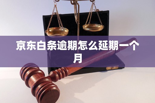 京东白条逾期怎么延期一个月