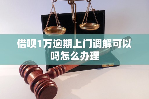 借呗1万逾期上门调解可以吗怎么办理