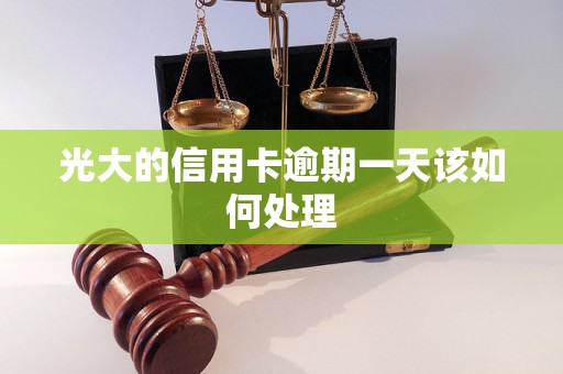 光大的信用卡逾期一天该如何处理