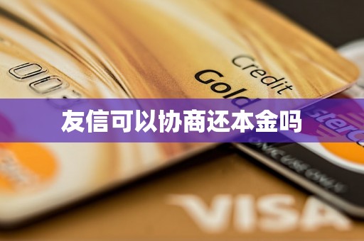 友信可以协商还本金吗