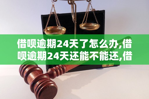 借呗逾期24天了怎么办,借呗逾期24天还能不能还,借呗逾期24天后果如何