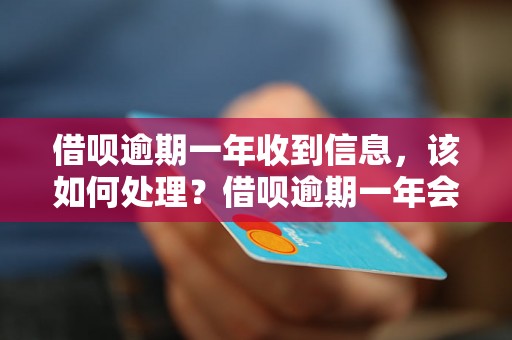 借呗逾期一年收到信息，该如何处理？借呗逾期一年会有什么后果？