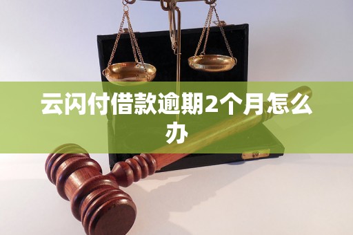 云闪付借款逾期2个月怎么办