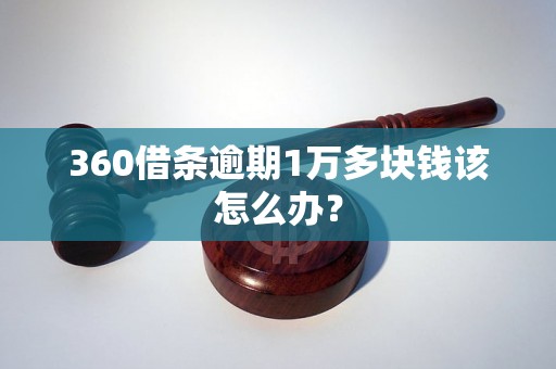 360借条逾期1万多块钱该怎么办？