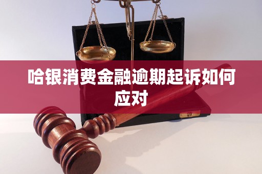 哈银消费金融逾期起诉如何应对