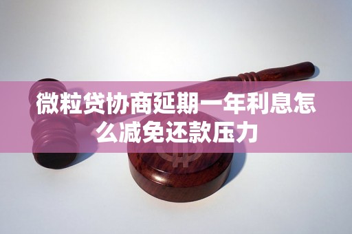 微粒贷协商延期一年利息怎么减免还款压力