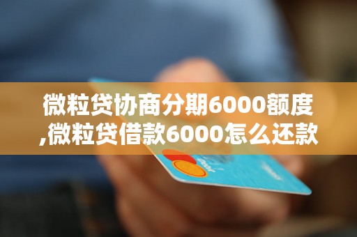 微粒贷协商分期6000额度,微粒贷借款6000怎么还款