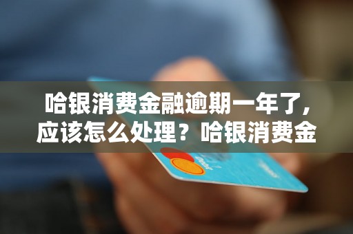 哈银消费金融逾期一年了,应该怎么处理？哈银消费金融逾期一年有什么后果？