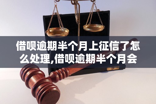 借呗逾期半个月上征信了怎么处理,借呗逾期半个月会影响征信吗