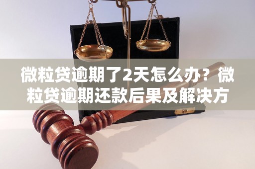 微粒贷逾期了2天怎么办？微粒贷逾期还款后果及解决方法详解