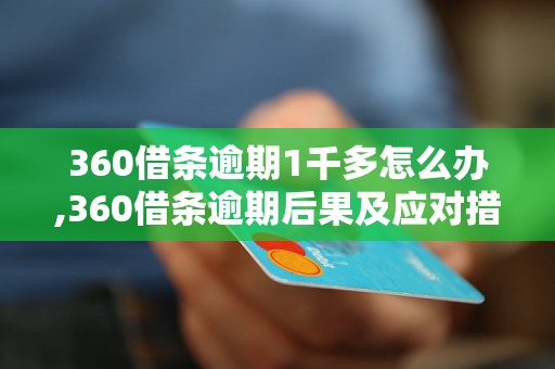 360借条逾期1千多怎么办,360借条逾期后果及应对措施