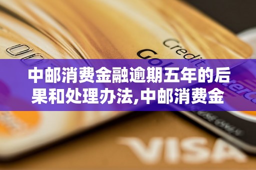 中邮消费金融逾期五年的后果和处理办法,中邮消费金融逾期五年能不能贷款