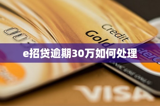 e招贷逾期30万如何处理