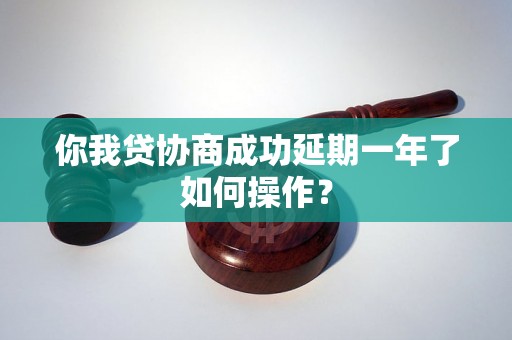 你我贷协商成功延期一年了如何操作？