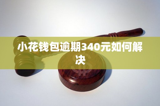 小花钱包逾期340元如何解决