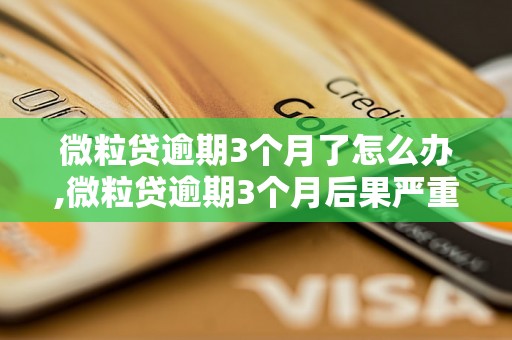 微粒贷逾期3个月了怎么办,微粒贷逾期3个月后果严重吗