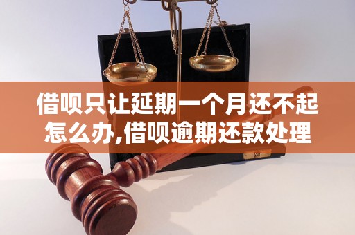 借呗只让延期一个月还不起怎么办,借呗逾期还款处理方法