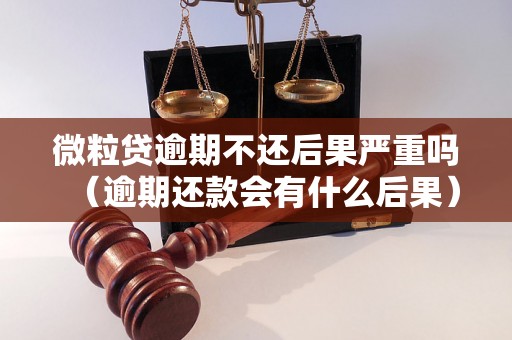 微粒贷逾期不还后果严重吗（逾期还款会有什么后果）