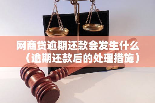 网商贷逾期还款会发生什么（逾期还款后的处理措施）