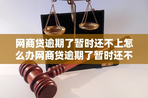 网商贷逾期了暂时还不上怎么办网商贷逾期了暂时还不上怎么办