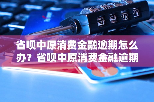 省呗中原消费金融逾期怎么办？省呗中原消费金融逾期后果如何处理？