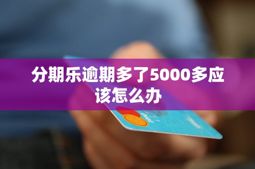 分期乐逾期多了5000多应该怎么办