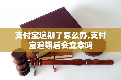 支付宝逾期了怎么办,支付宝逾期后会立案吗