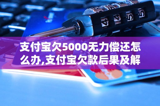 支付宝欠5000无力偿还怎么办,支付宝欠款后果及解决方法