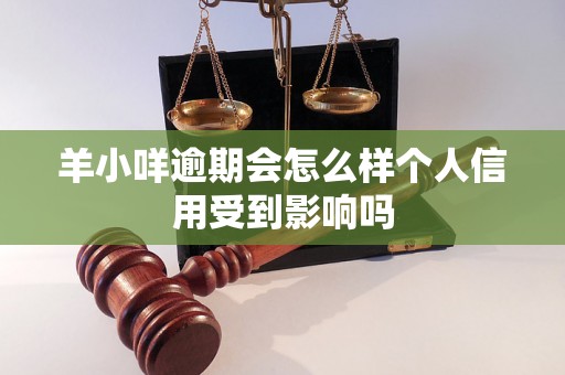 羊小咩逾期会怎么样个人信用受到影响吗