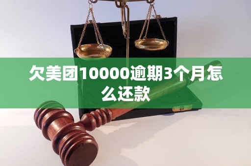 欠美团10000逾期3个月怎么还款