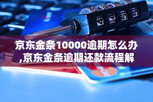 京东金条10000逾期怎么办,京东金条逾期还款流程解析