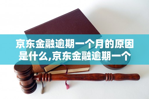 京东金融逾期一个月的原因是什么,京东金融逾期一个月后会发生什么情况