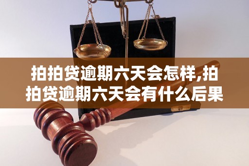 拍拍贷逾期六天会怎样,拍拍贷逾期六天会有什么后果