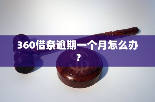 360借条逾期一个月怎么办？